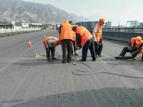 农安道路桥梁病害治理